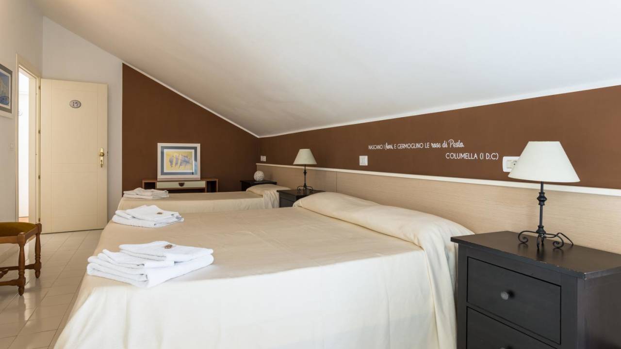 Cycle Cilento & the Amalfi Coast