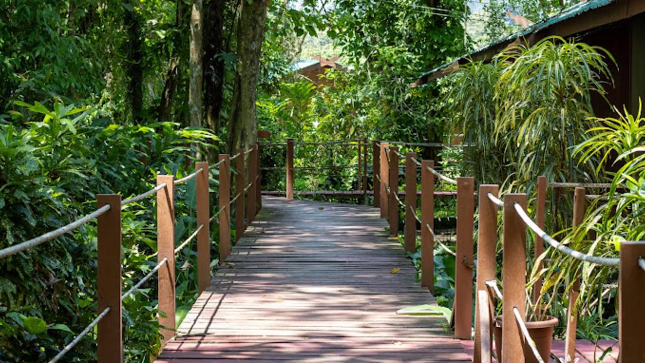 Borneo Wildlife Discoverer