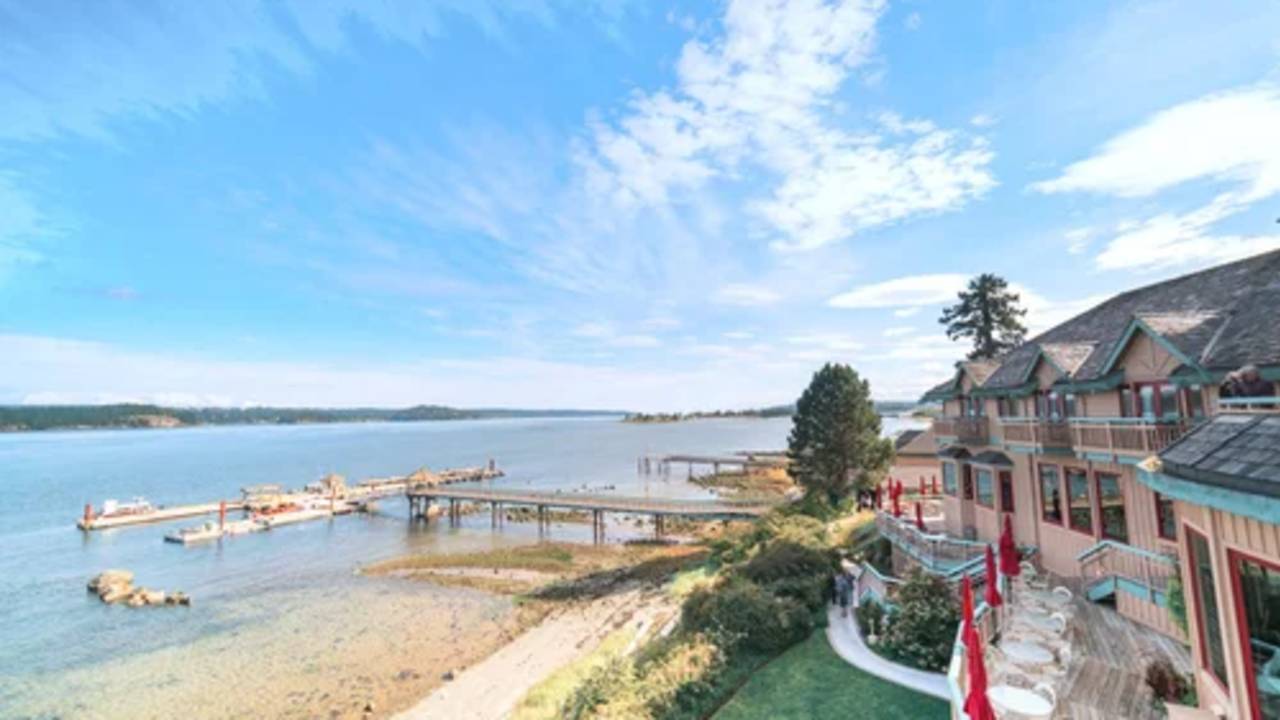 Whales & Bears of British Columbia