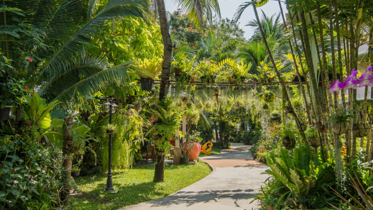 Thailand Family Adventure