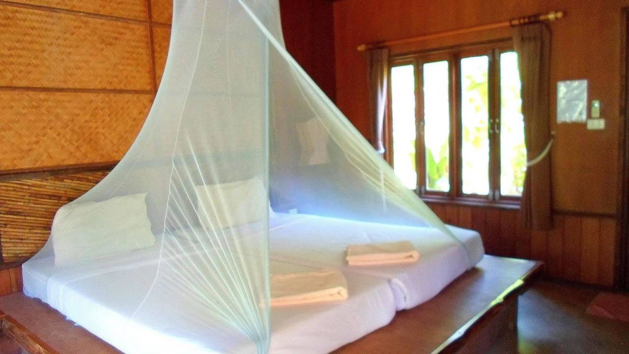 Thailand Family Adventure