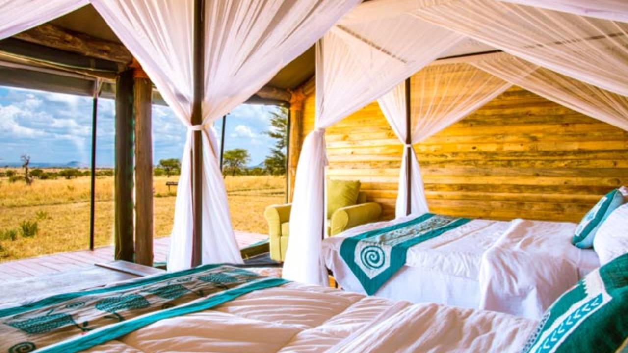 Tanzania Safari Adventure