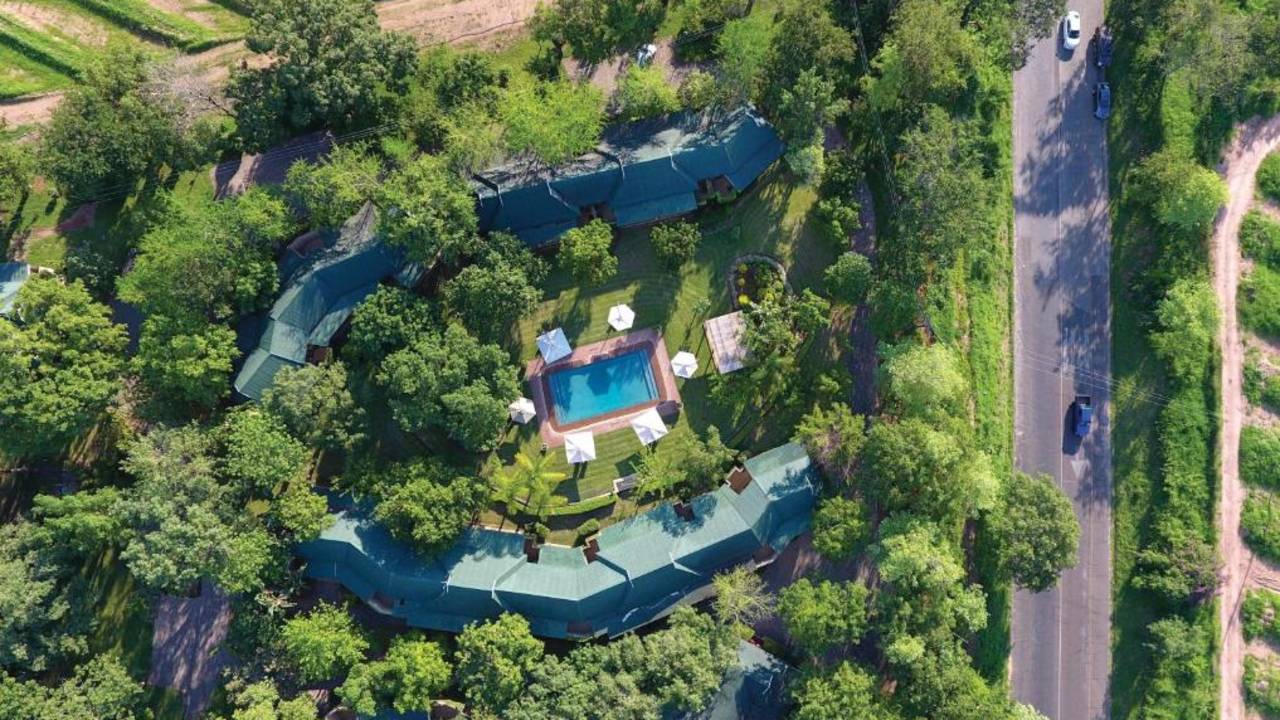 Essential Kruger Safari