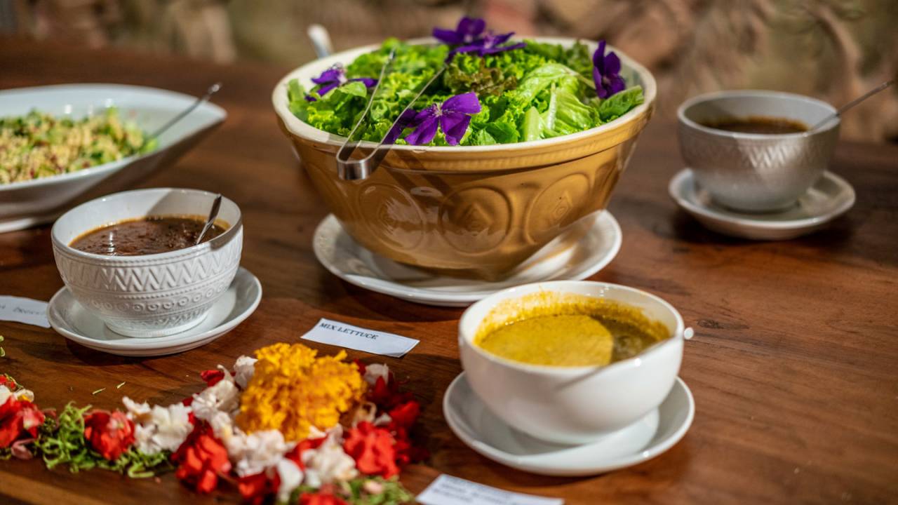 Primates & Dragons of Indonesia