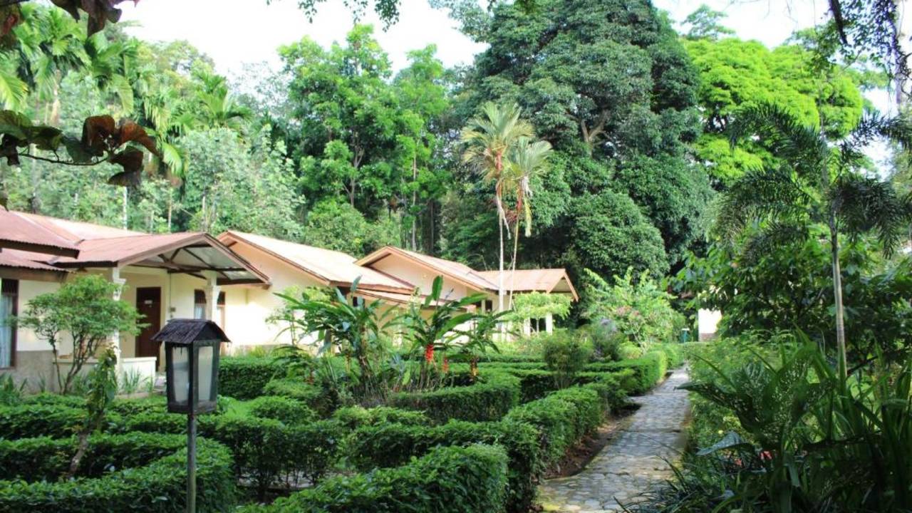 Primates & Dragons of Indonesia