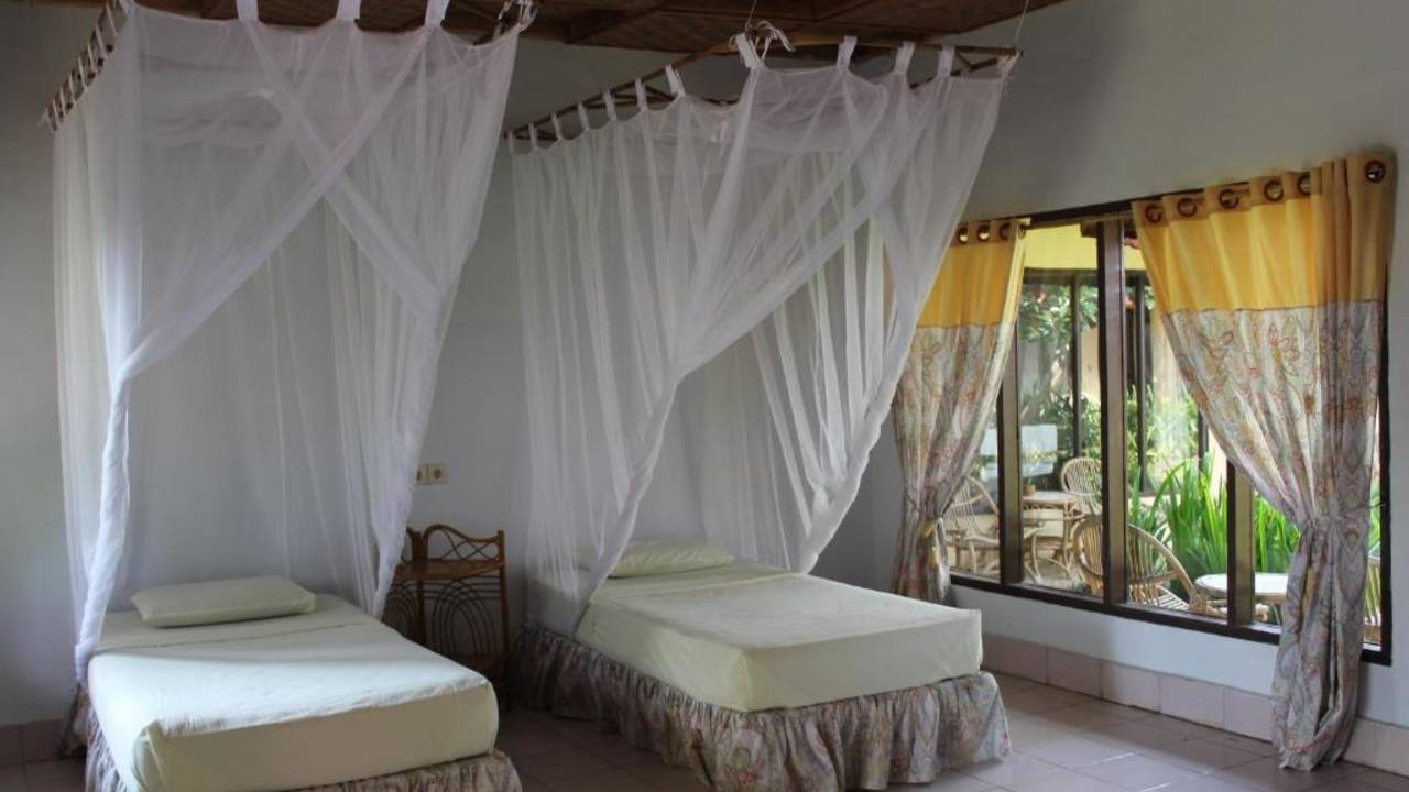 Primates & Dragons of Indonesia