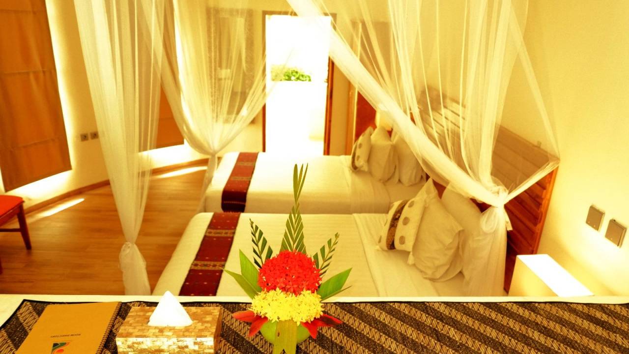 Primates & Dragons of Indonesia