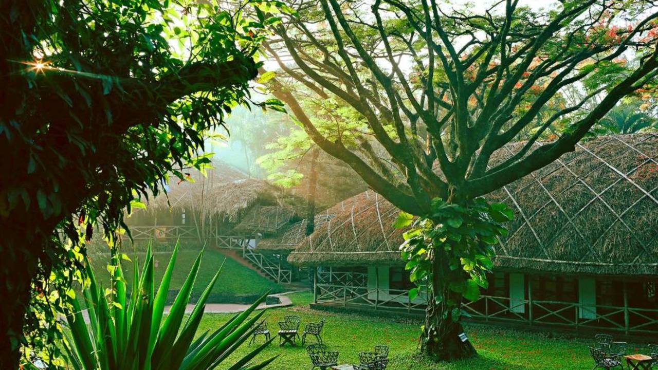 Signature India | Between Spices & Backwaters