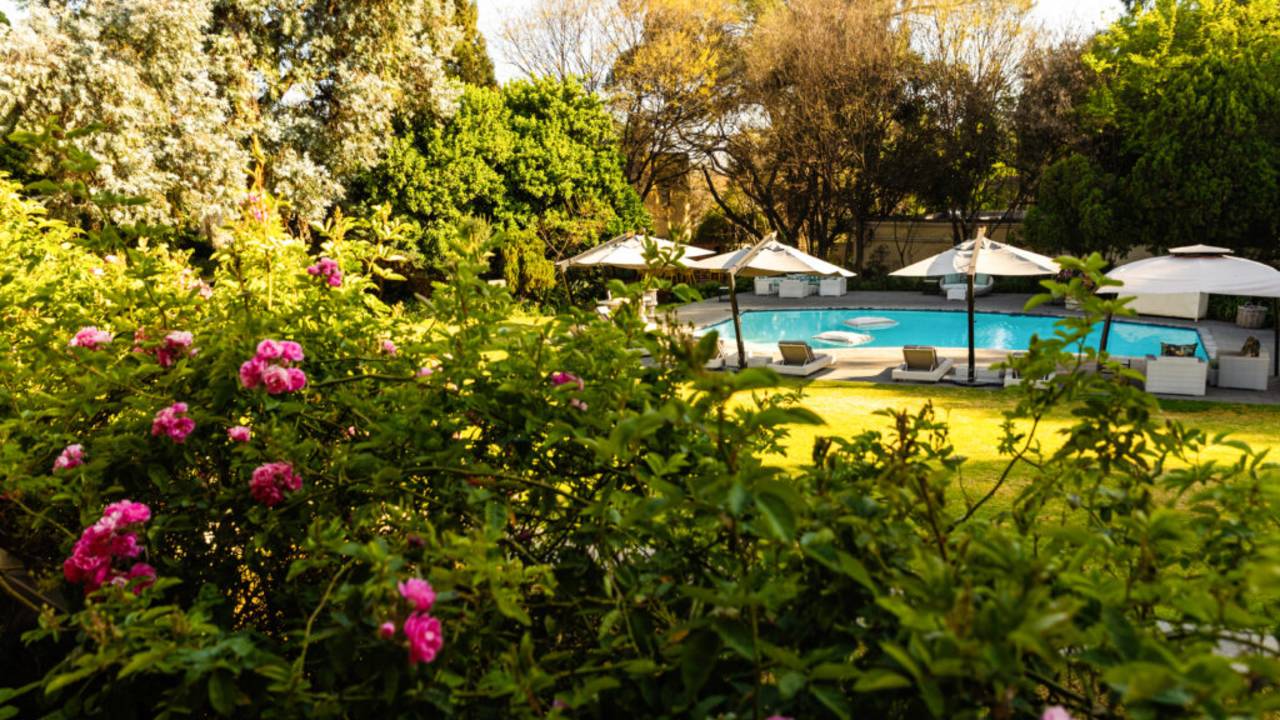 Signature South Africa | Across the Wild Plains