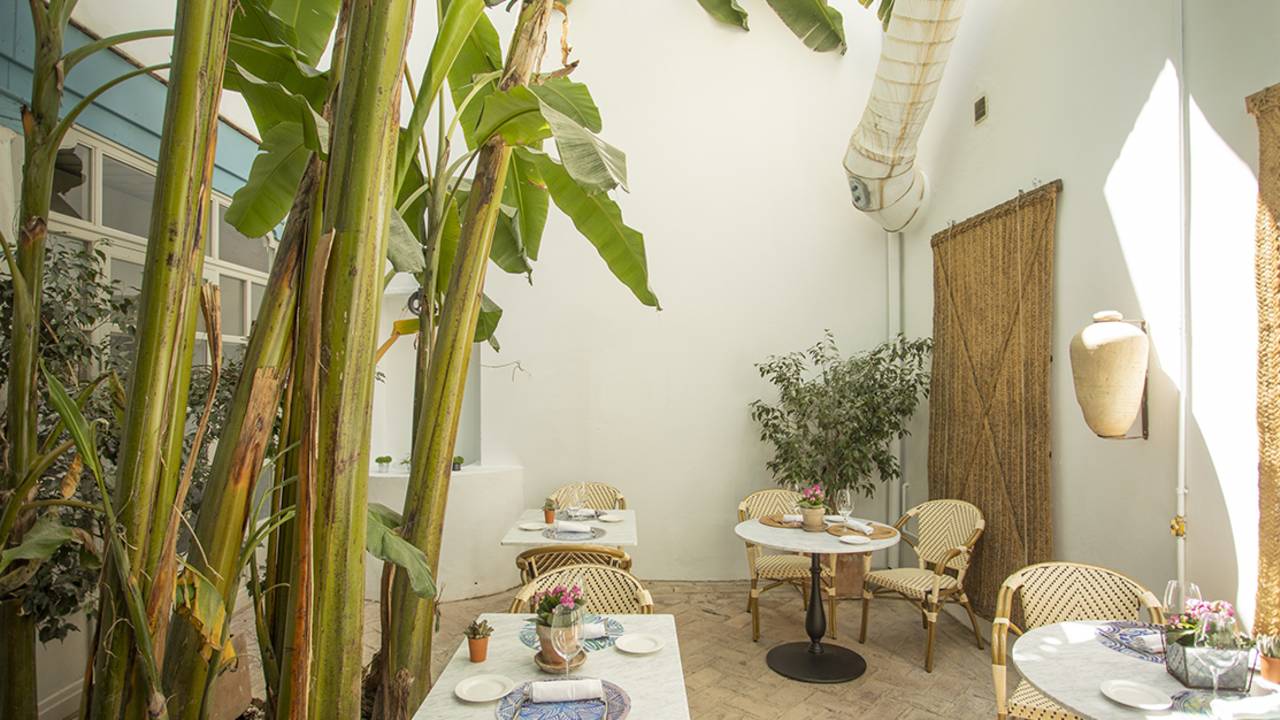 Signature Spain | Light Through Olive Groves