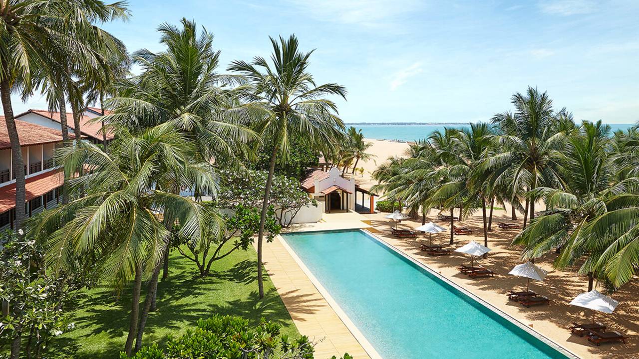 Sri Lankan Highlights