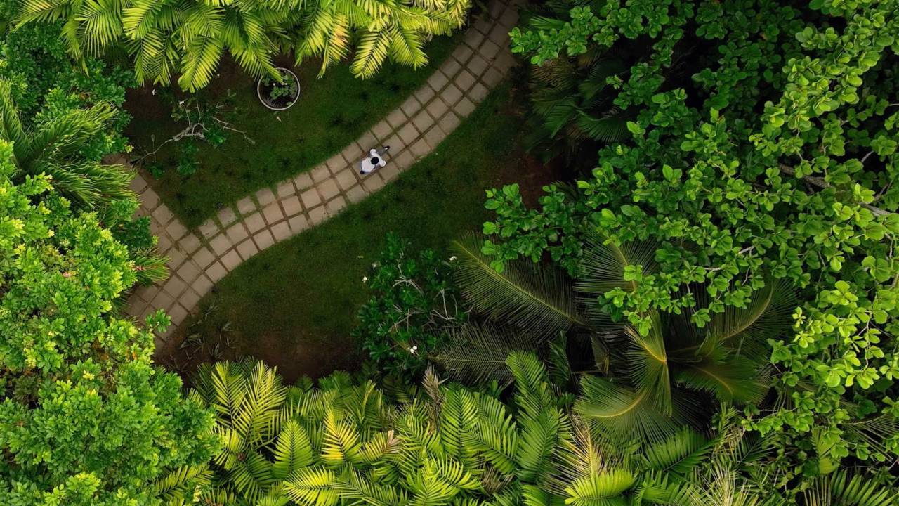 Signature Sri Lanka | The Island of Serendipity