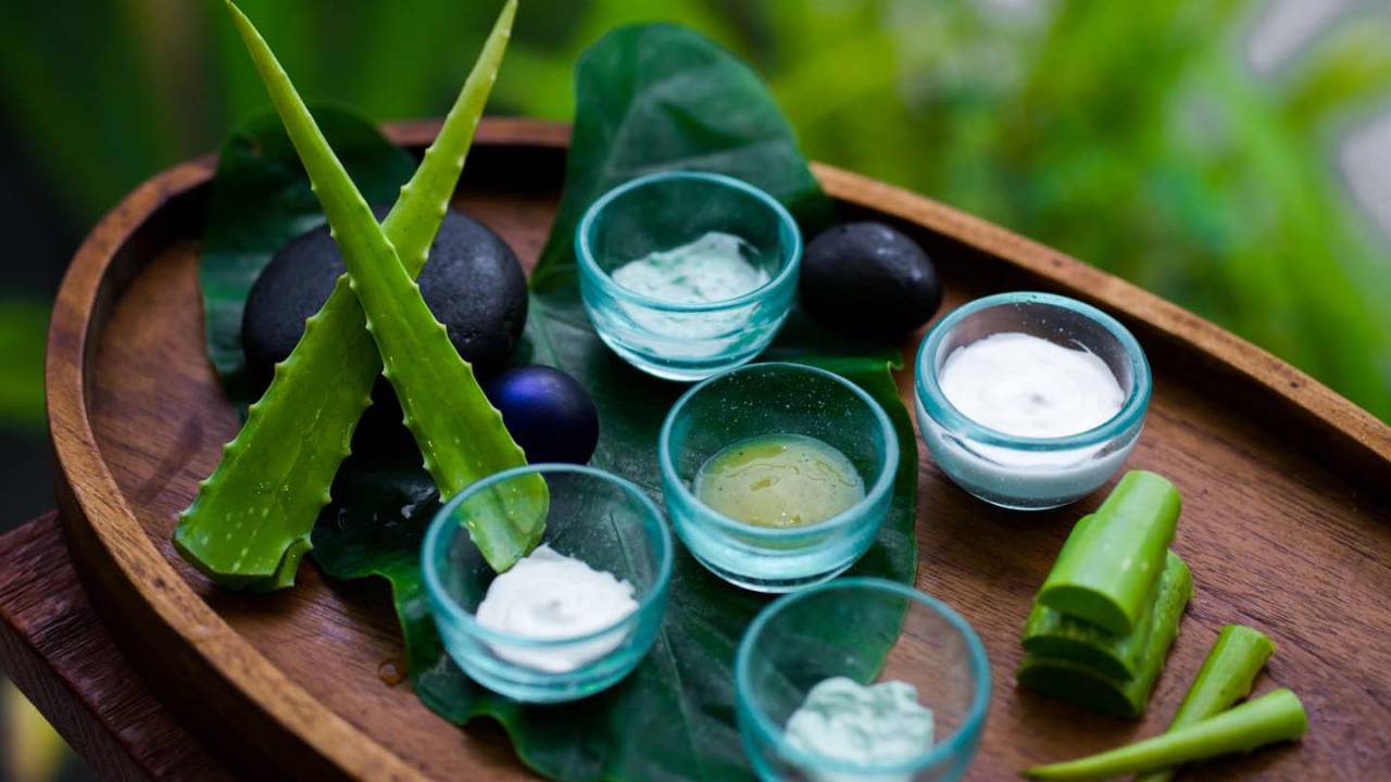 Signature Indonesia | The Sacred Wild Isles