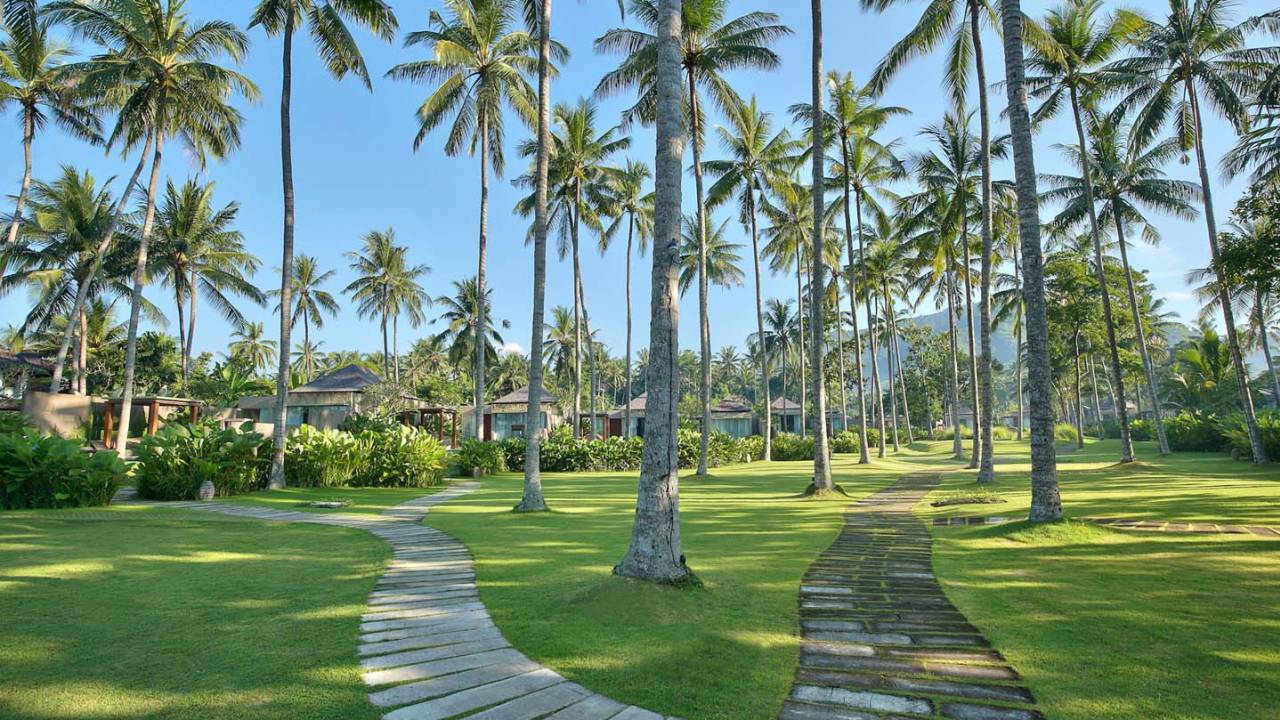 Signature Indonesia | The Sacred Wild Isles