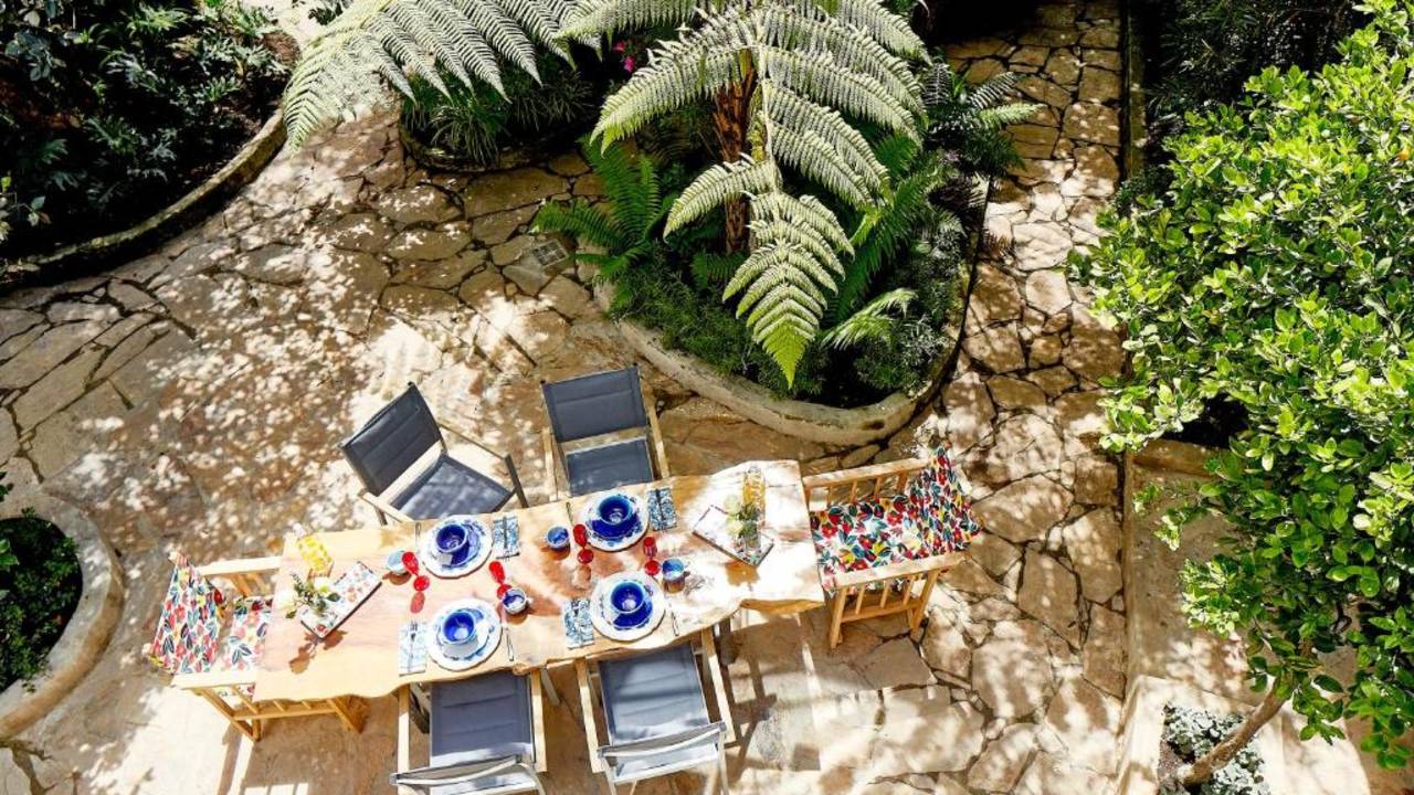 Signature Colombia | Stories Beneath Wax Palms