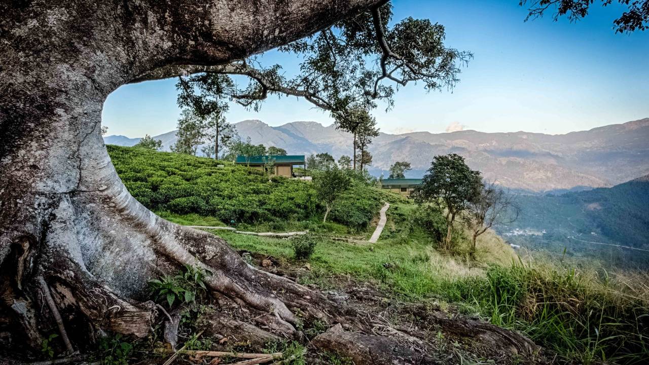 Signature Sri Lanka | The Island of Serendipity