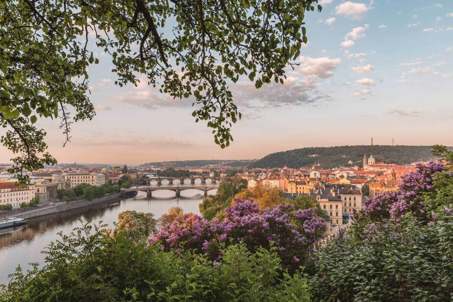 Timeless Encounters – April 15, 2027