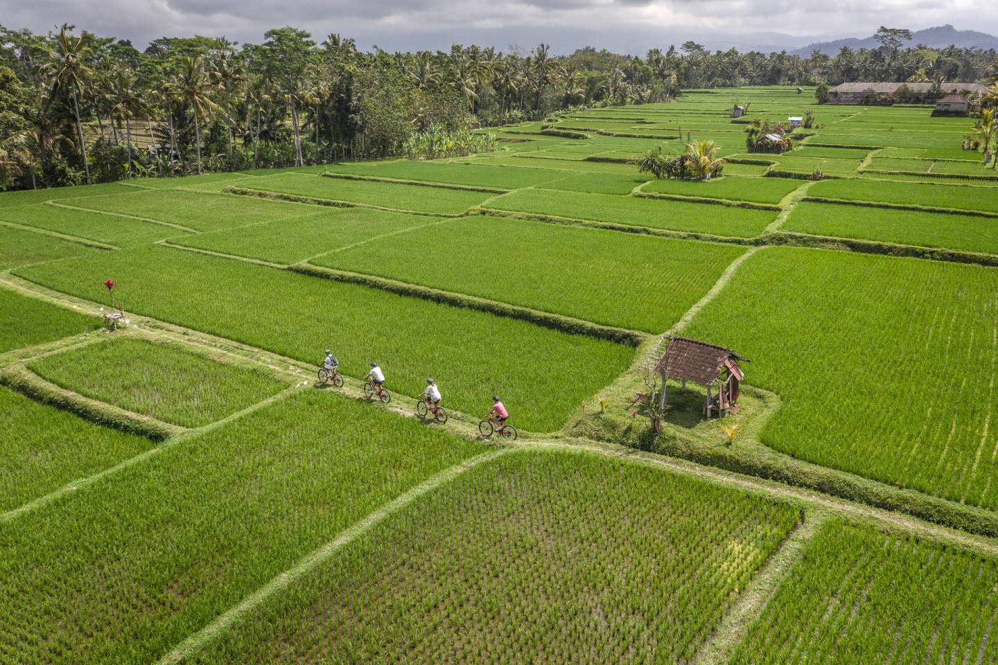Asia Unveiled: A Four Seasons Private Jet Experience – Feb 2027