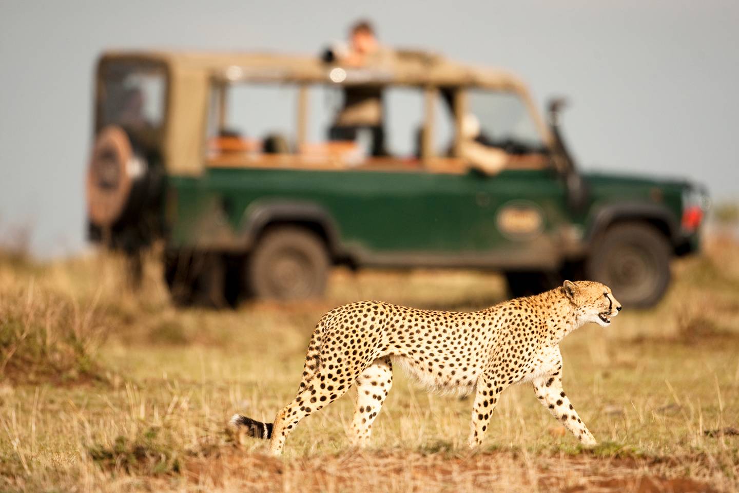 African Wonders: A Four Seasons Private Jet Experience December 2025