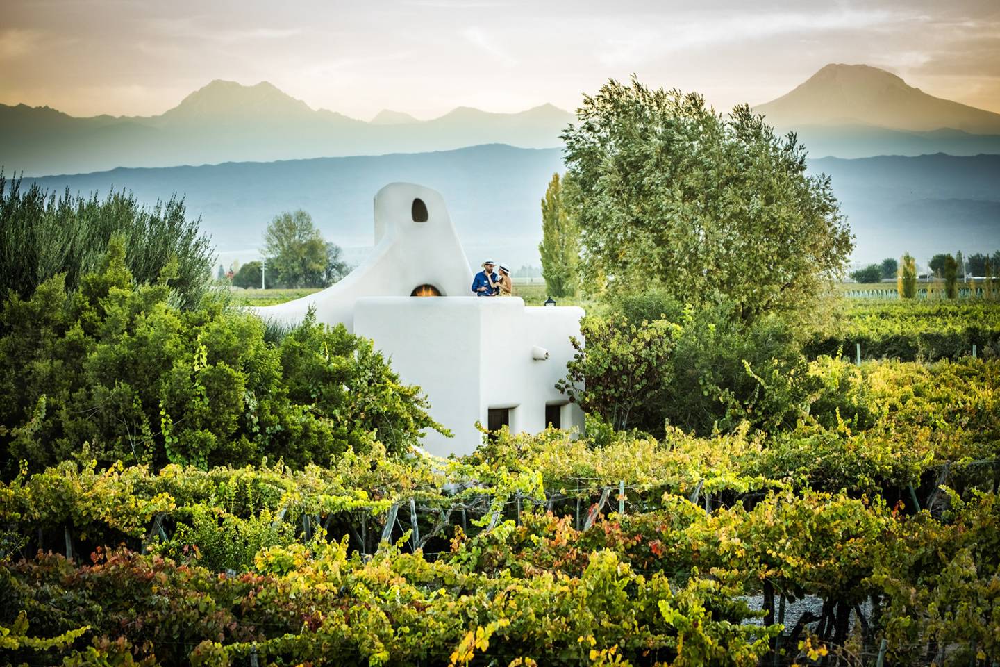 white building amidst vineyard, mountain background