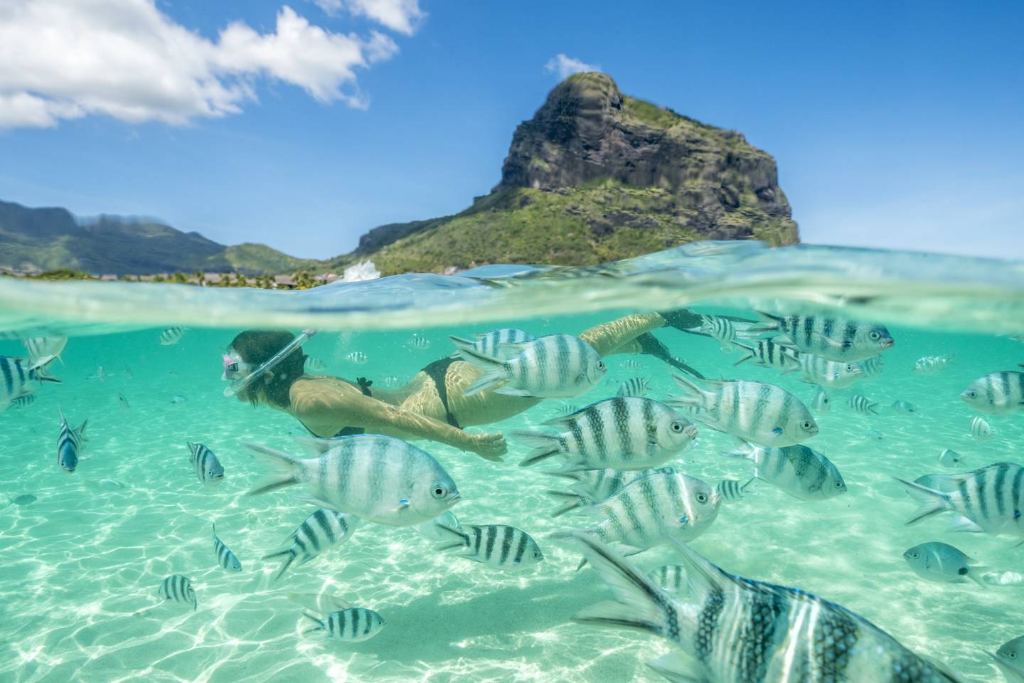 woman snorkeling below water with fish