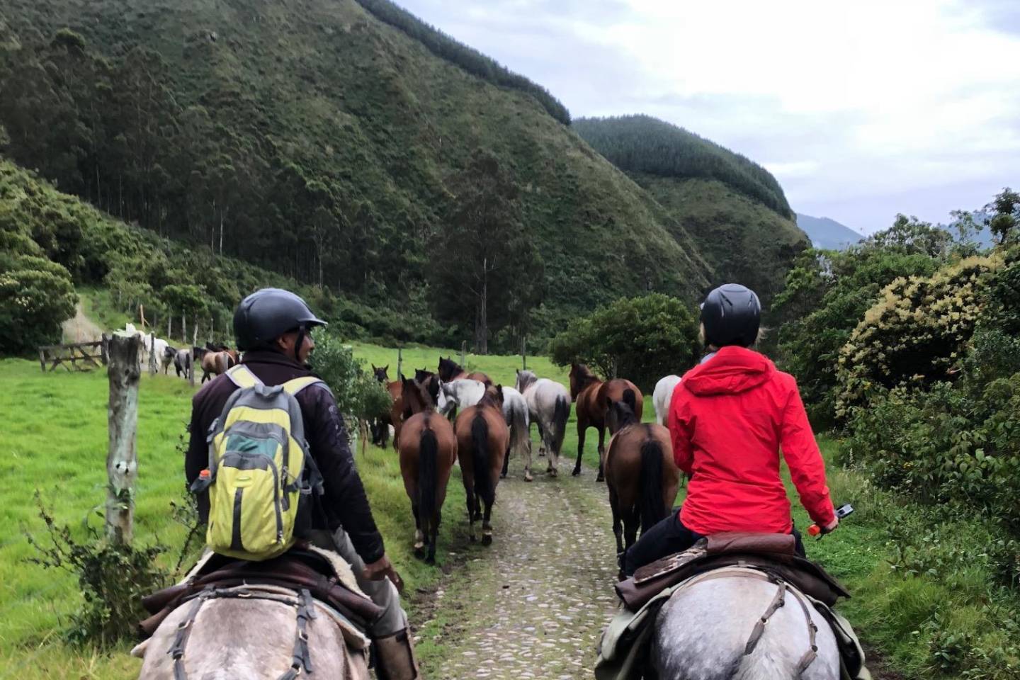 Ecuador_Colleen