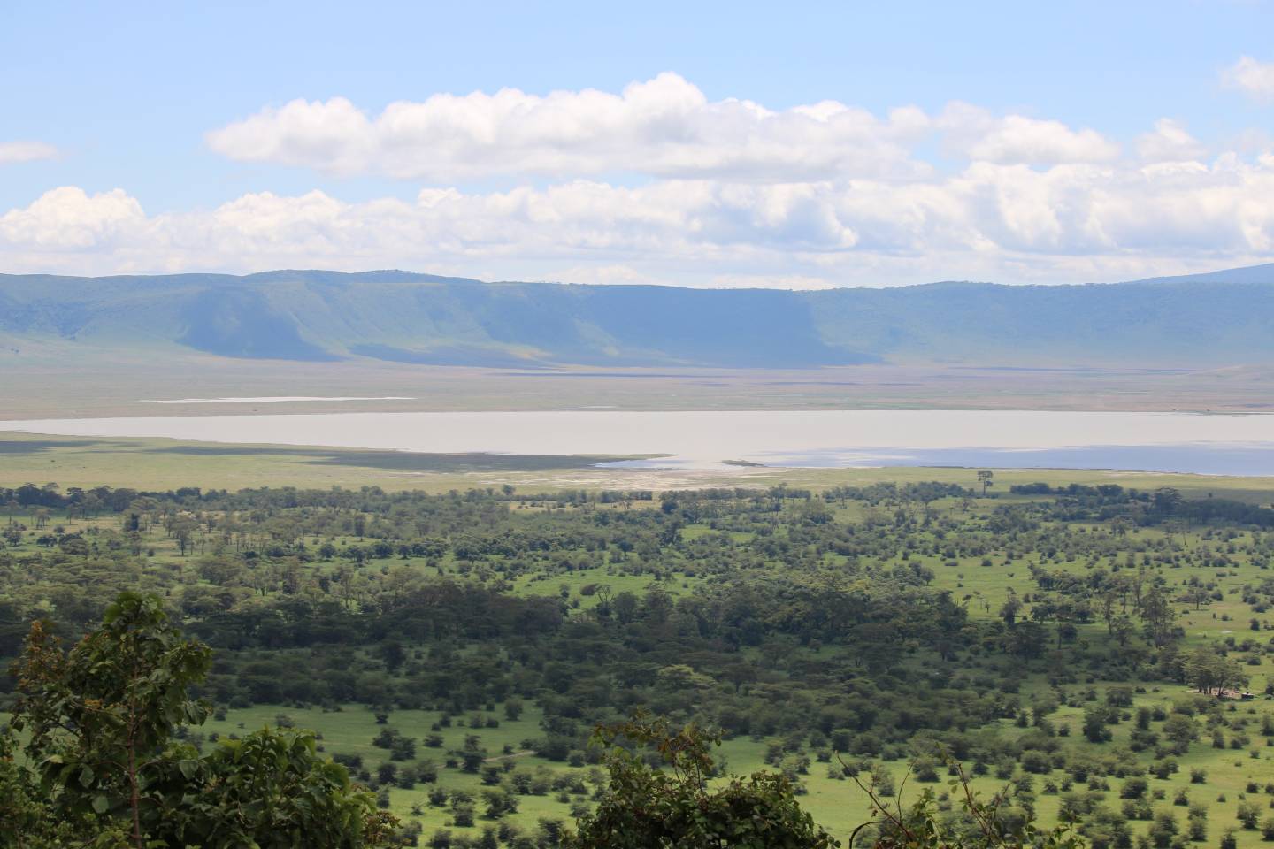 Africa, Nongorongoro