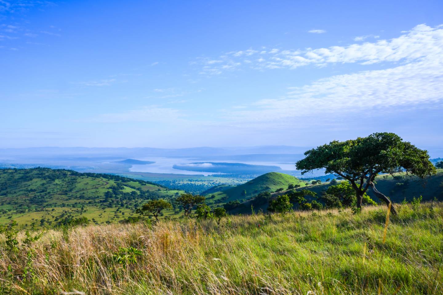 grassy hill looking towards river valley