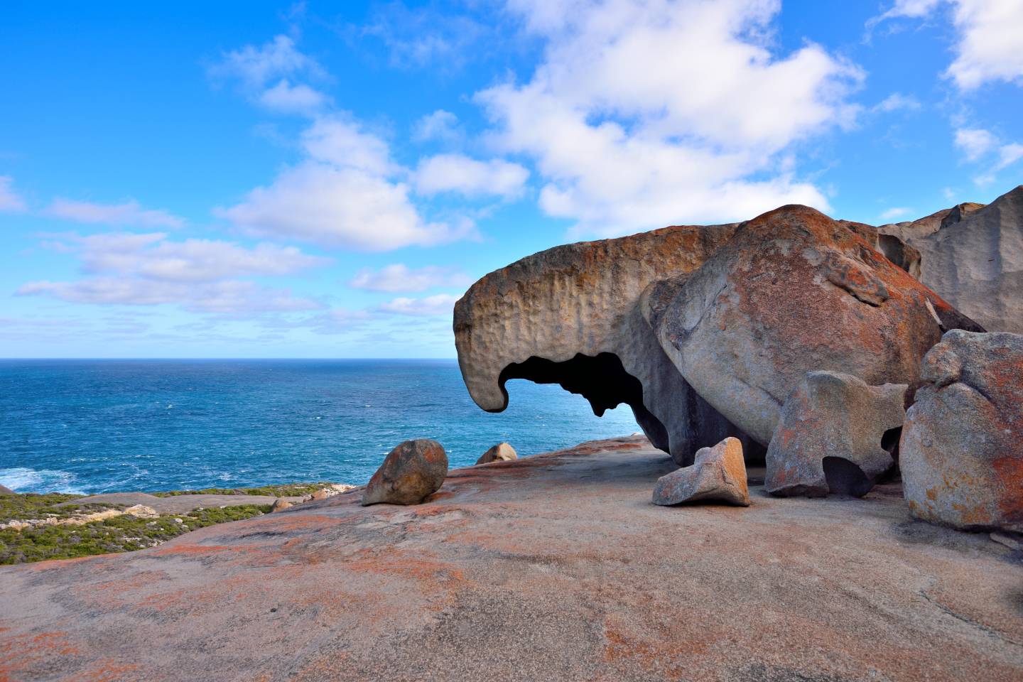 Kangaroo