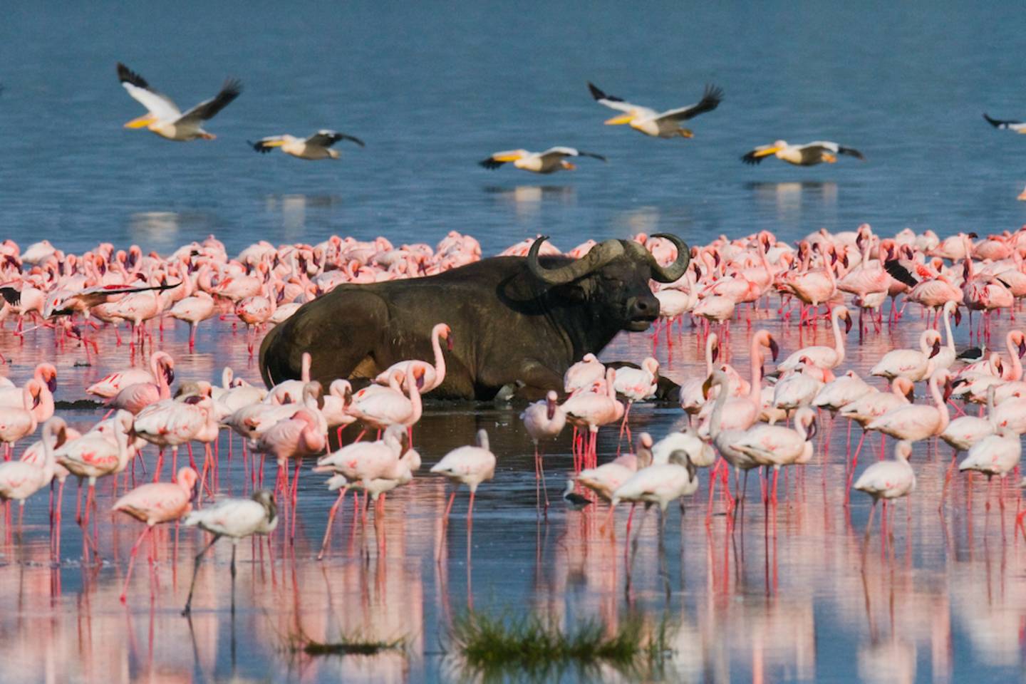 Lake Nakuru in Kenya