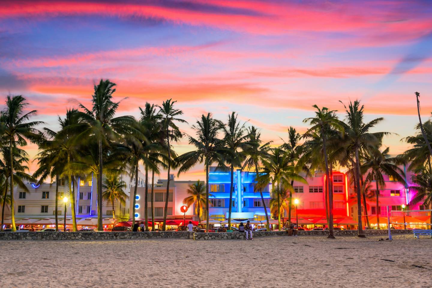 Palm trees and street view of Miami at night.