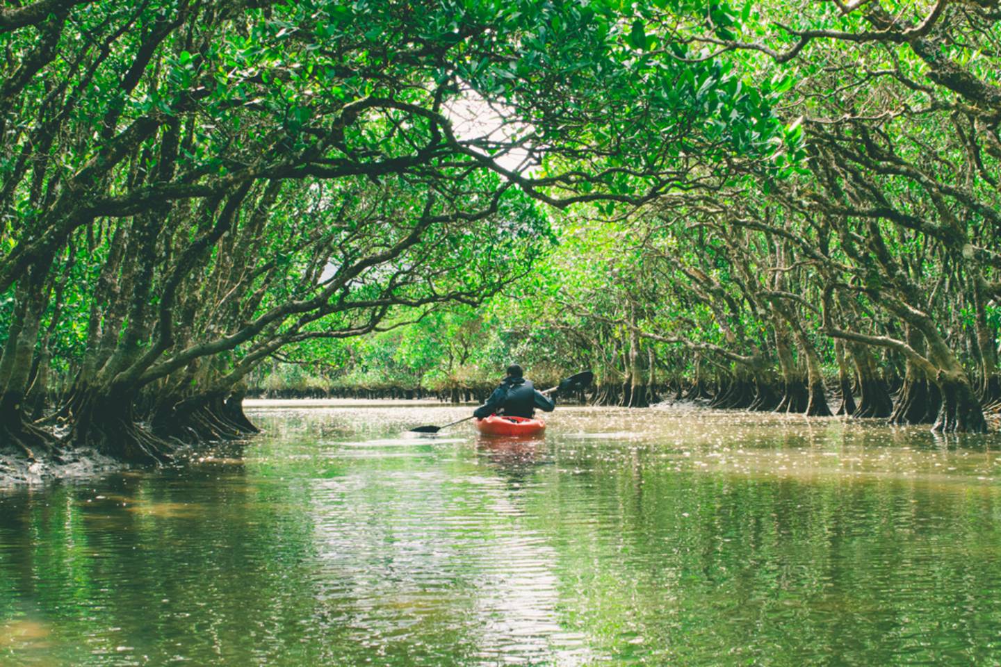 Mauritius