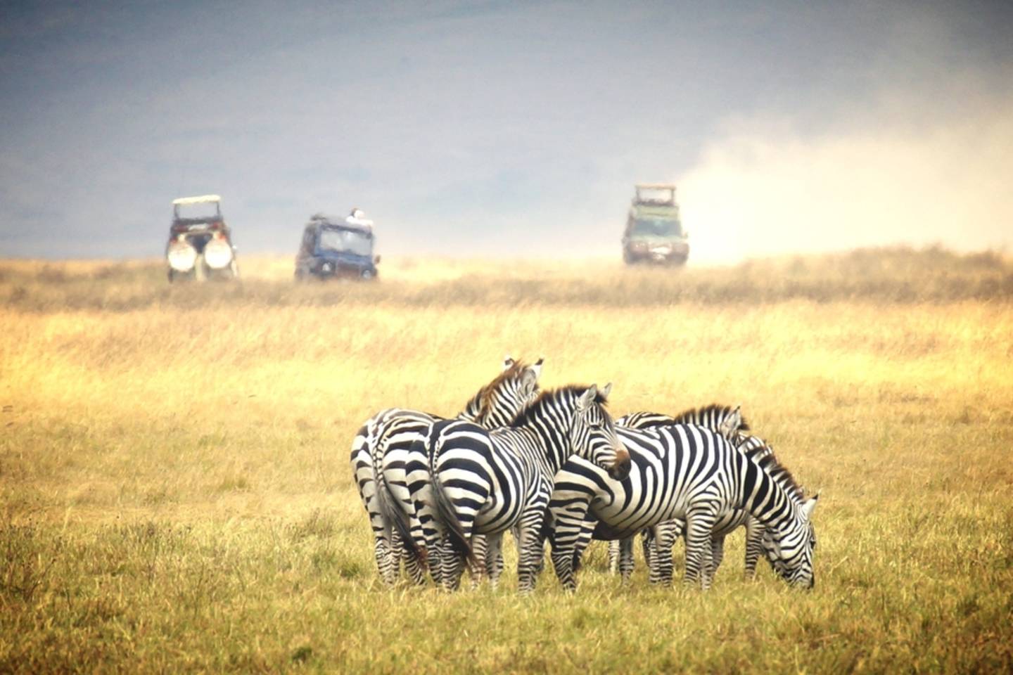 Nairobi National Park