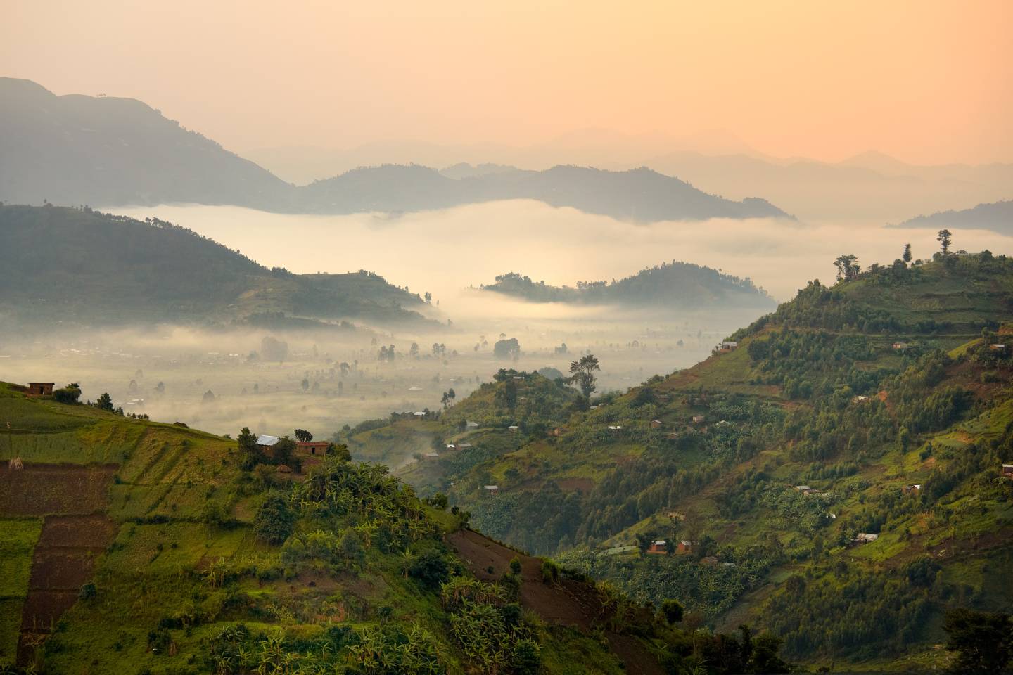 Virunga Mountains