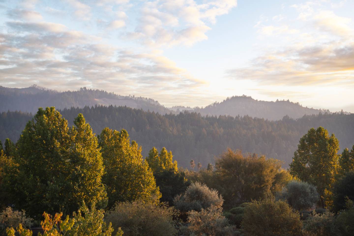 Napa Valley