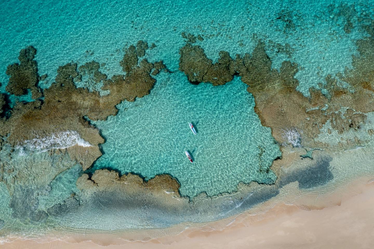 Malolo