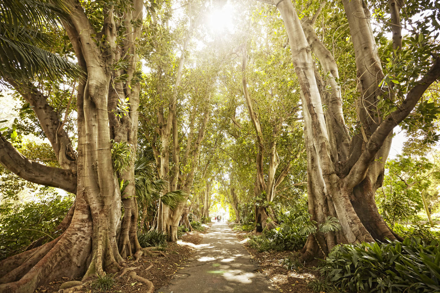 Exploring New Zealand and Australia – Nov 2026