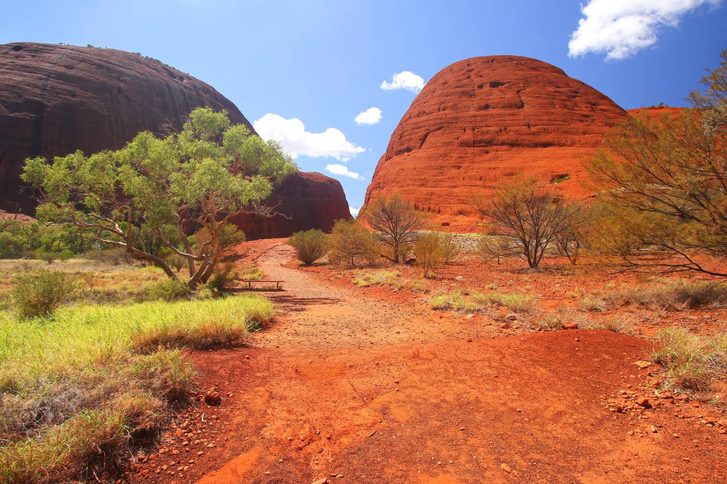 Uluru