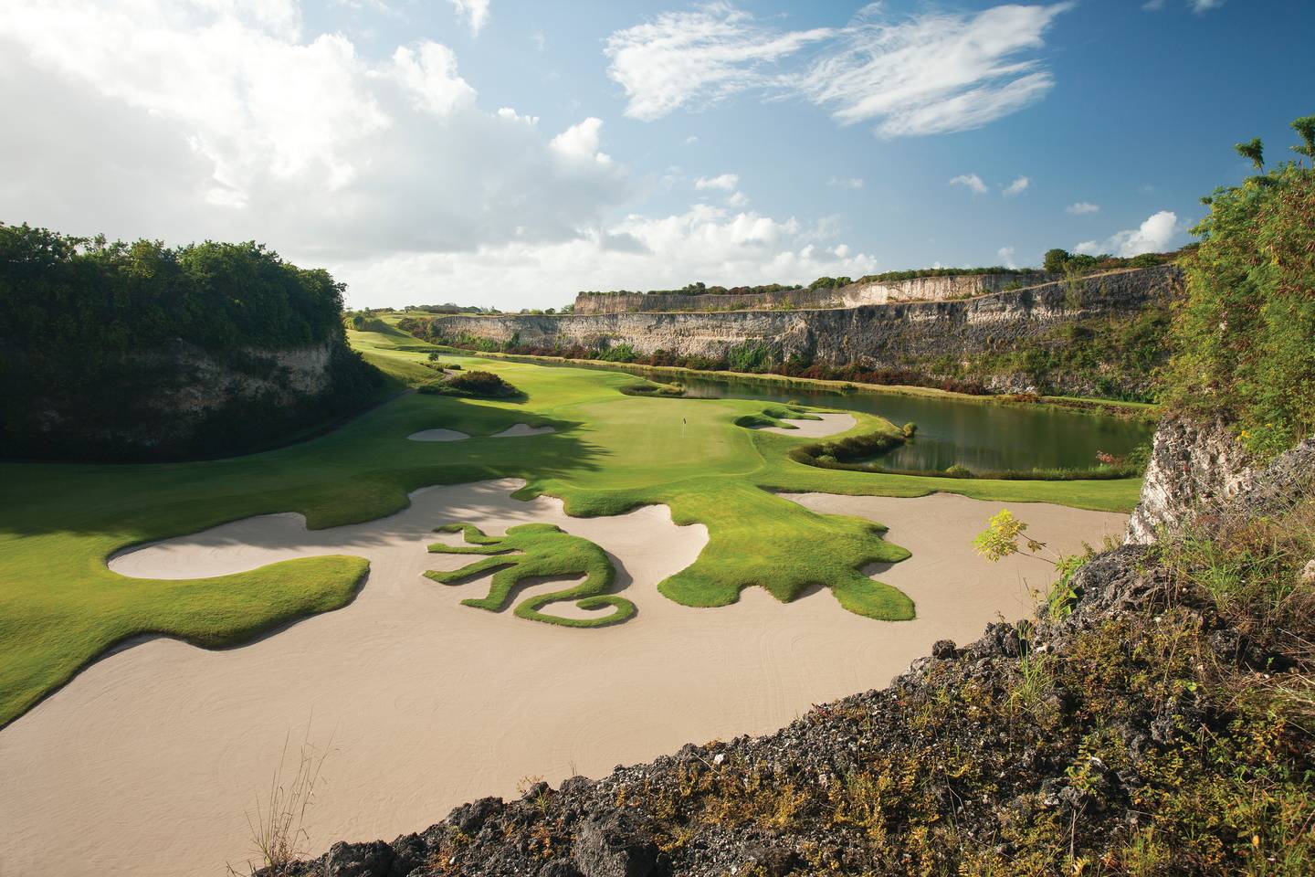 The Green Monkey Course