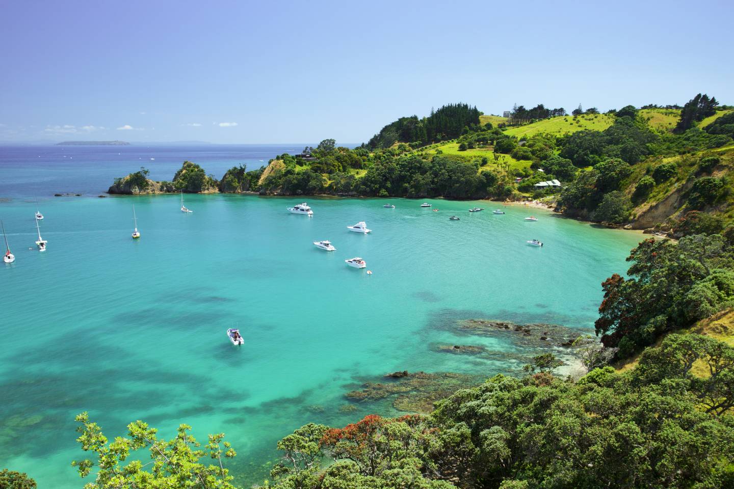 Hauraki