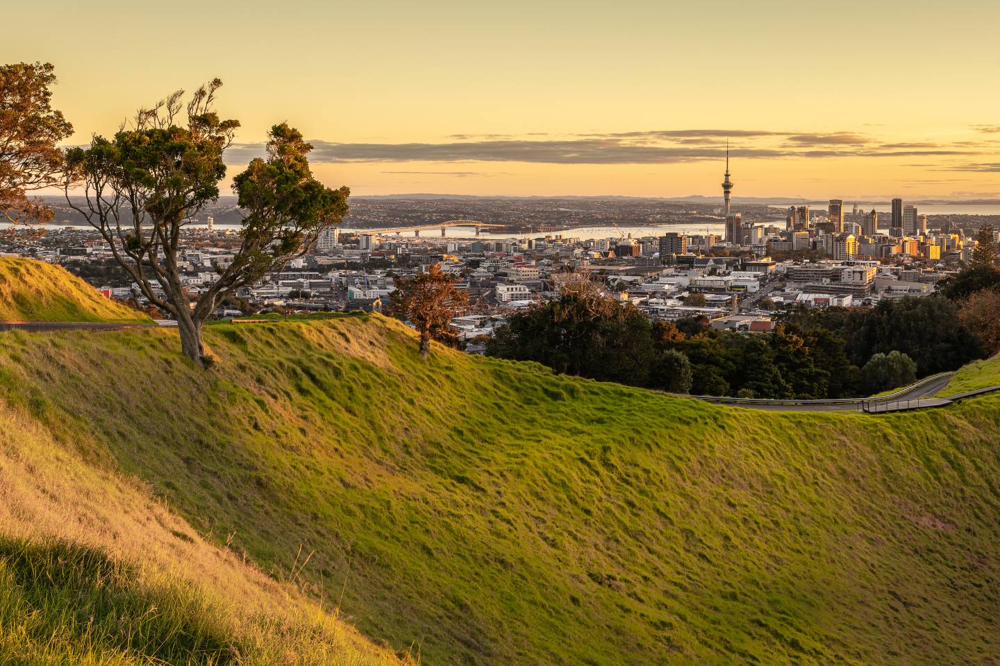 Auckland