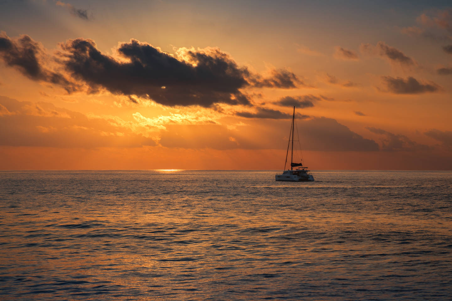 Sunset Catamaran Cruise