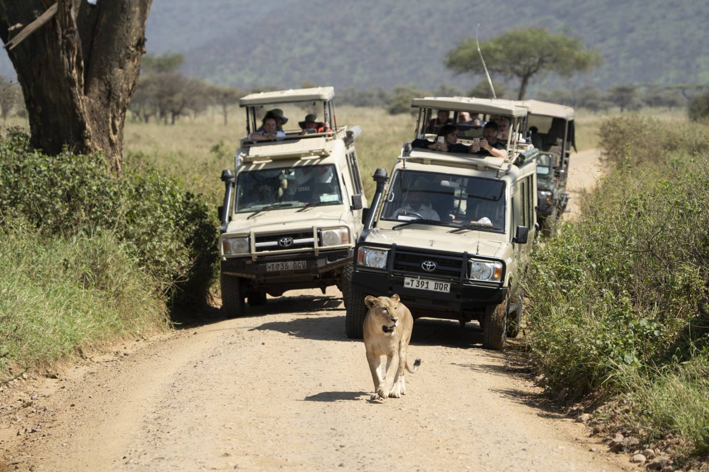 Around the World: Hub