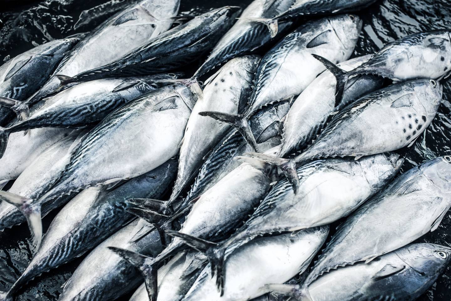 Asia Unveiled: A Four Seasons Private Jet Experience March 2026