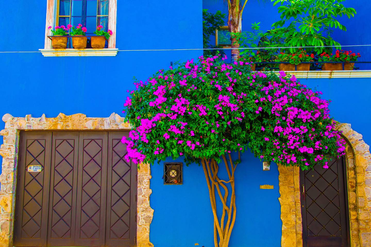 World of Wellness – May 2026