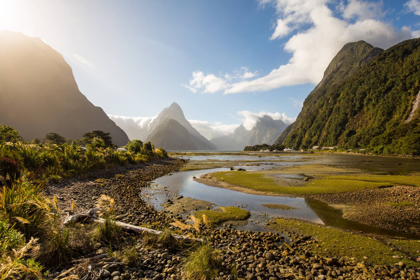 new zealand