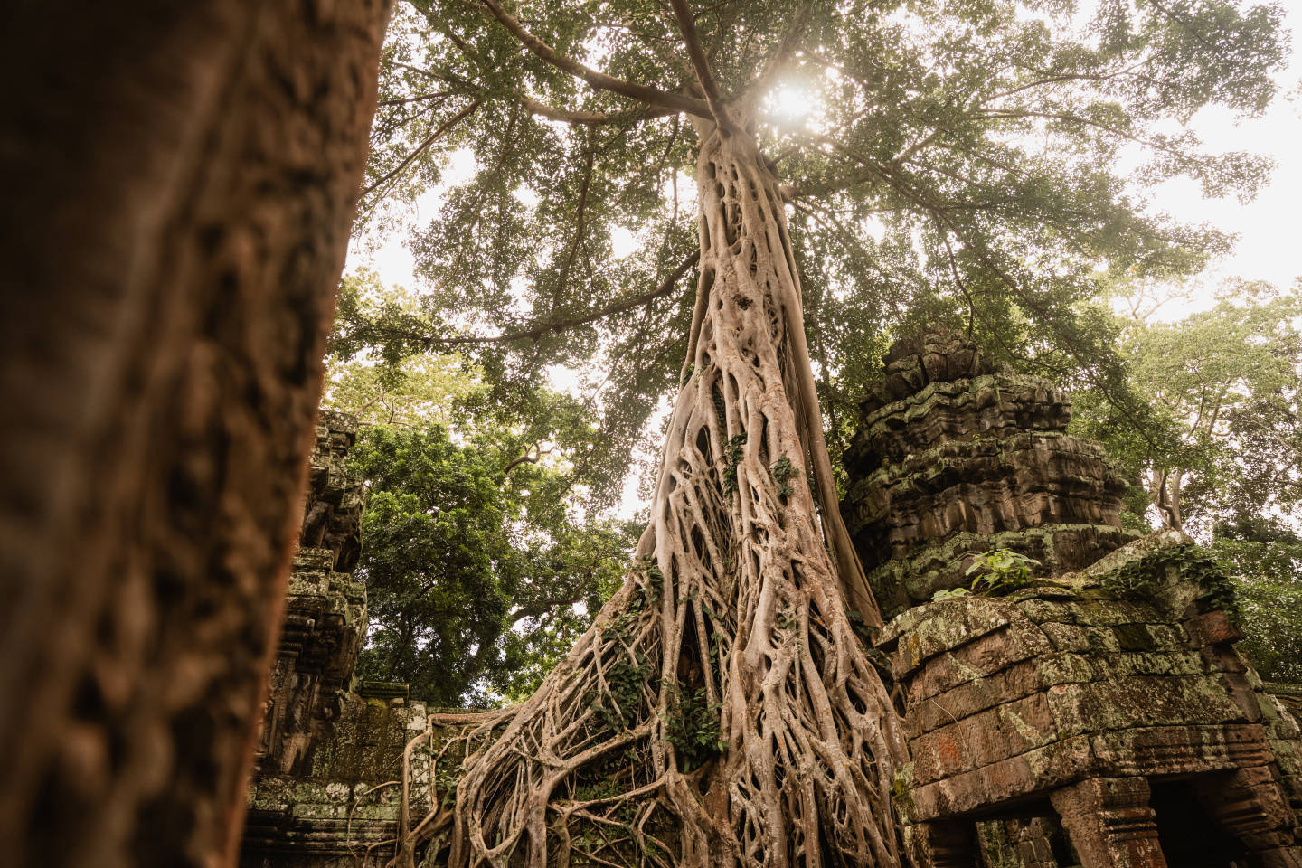 Around the World: Hub