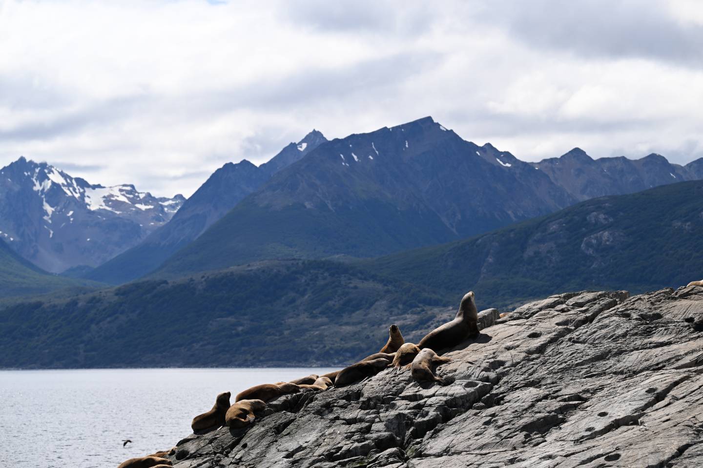 Fly Fishing Patagonia and Tierra del Fuego by Private Air Nov 2026