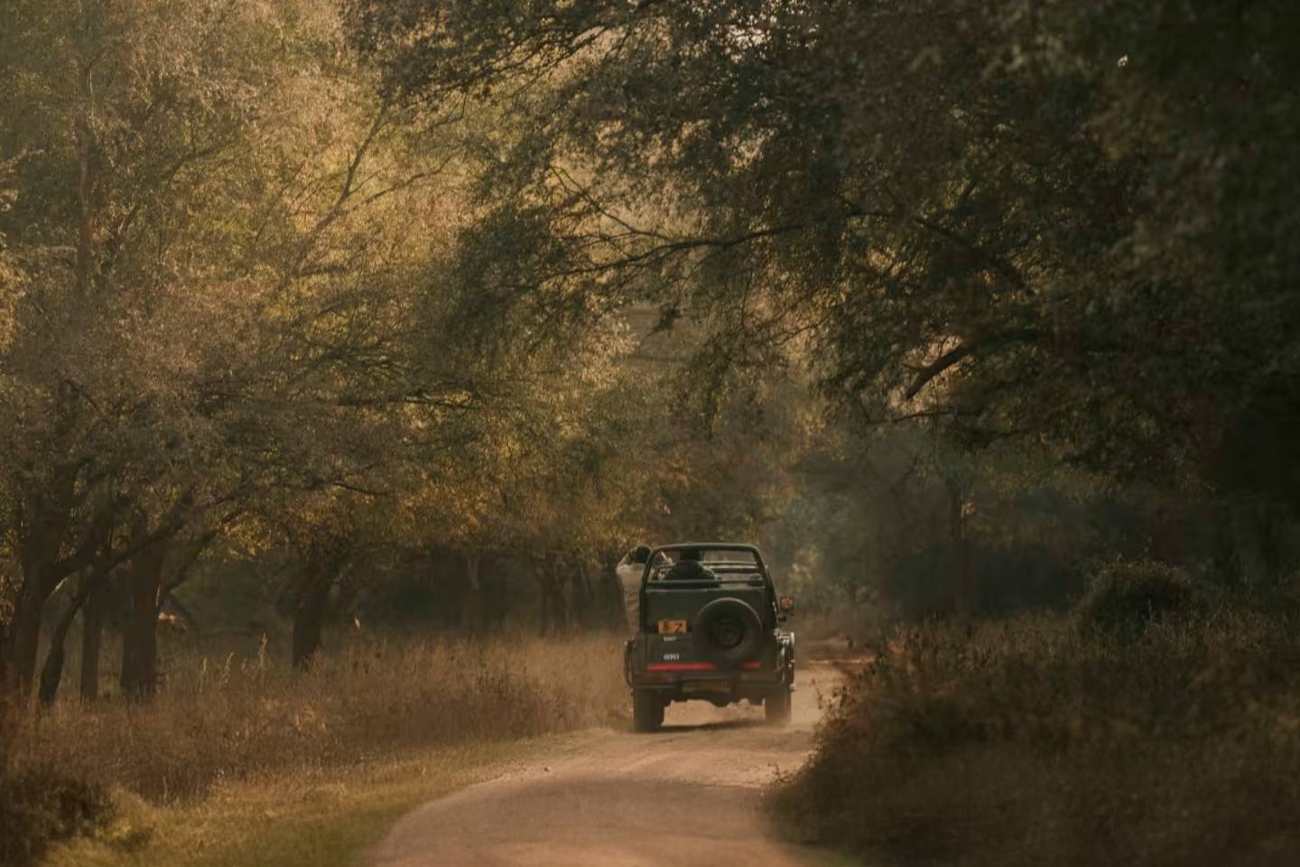 Forest Game Drive