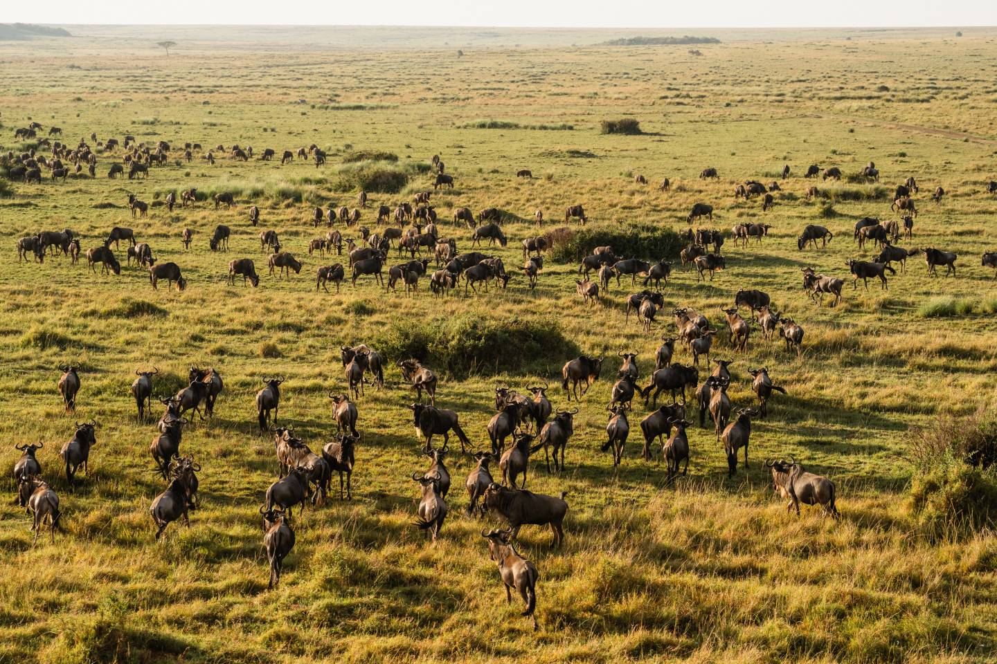 Around the World: A Luxury Tour By Private Jet – October 9, 2027